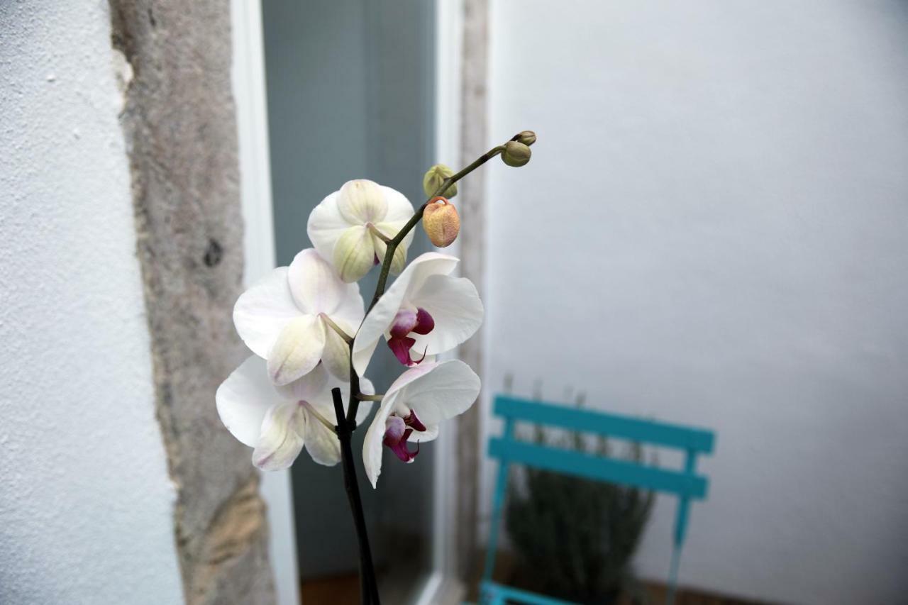 Santo Amaro'S House Leilighet Lisboa Eksteriør bilde